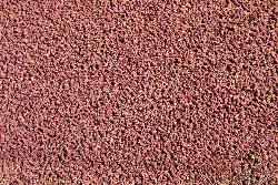 Image: Trevor James © Trevor James 